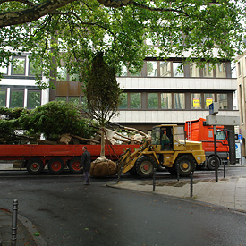Slide 20